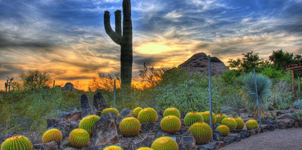 Efficient vacation property management services in Phoenix.